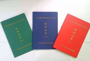 食品安全管理員在歌舞活動(dòng)中的主要職責(zé)